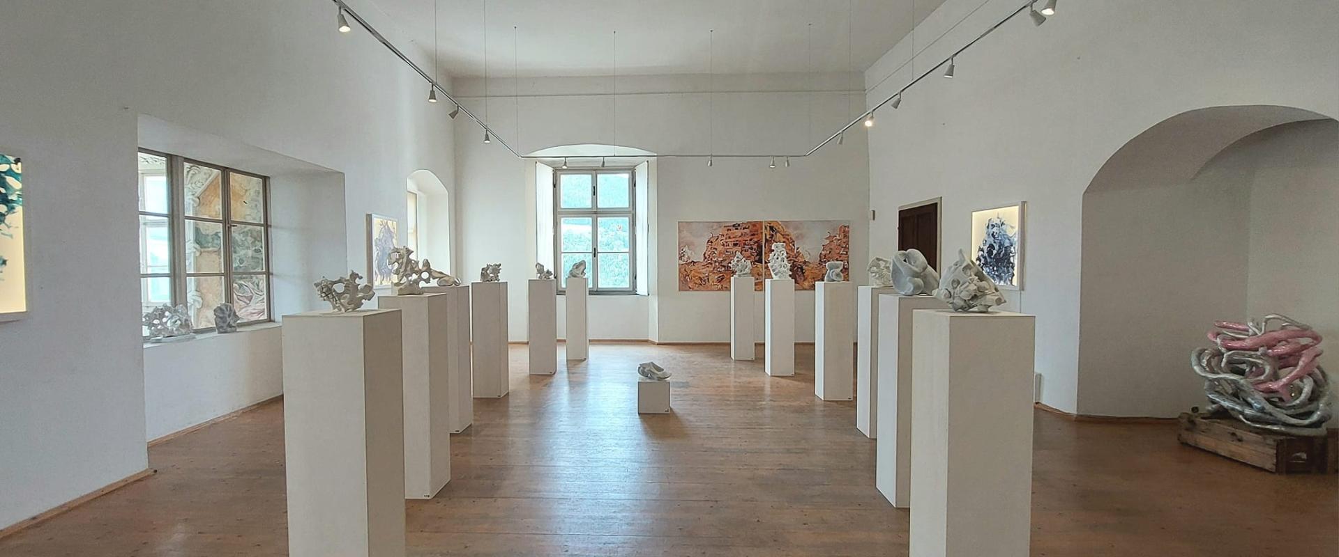 Ausstellungsansicht „Niclas Anatol & Romana Egartner: Urbane Verflechtungen“, Schloss Straßburg, 2024, Foto: Niclas Anatol und Romana Egartner Ausstellungsansicht „Niclas Anatol & Romana Egartner: Urbane Verflechtungen“, Schloss Straßburg, 2024, Foto: Niclas Anatol und Romana Egartner